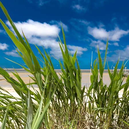 Wohnen Am Suedstrand - 1 4 * Wyk auf Foehr