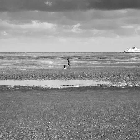 Wohnen Am Südstrand - 1 4 Wyk auf Föhr