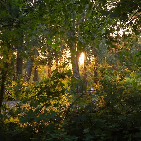 Wohnen Am Suedstrand - 1 4 Apartmán Wyk auf Föhr