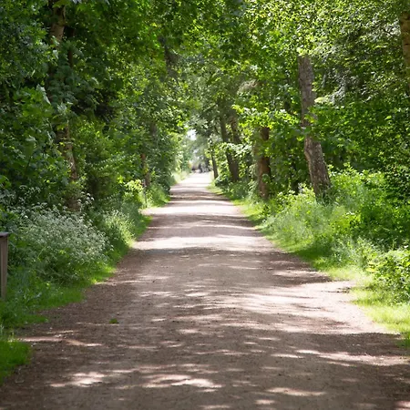 Wohnen Am Südstrand - 1 4 * Wyk auf Föhr