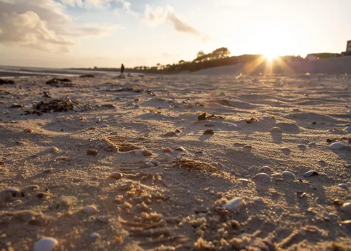 Daire Wohnen Am Suedstrand - 1 4 *