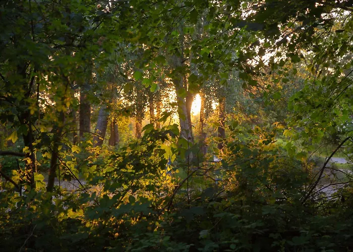 Wohnen Am Suedstrand - 1 4 Daire Wyk auf Föhr
