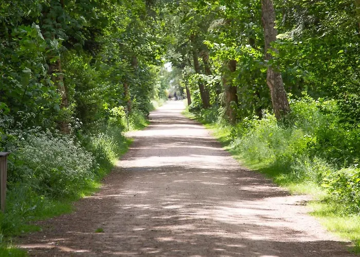 Wohnen Am Suedstrand - 1 4 * Wyk auf Föhr