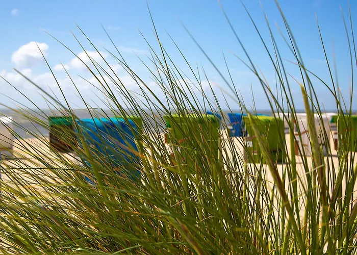 Daire Wohnen Am Suedstrand - 1 4